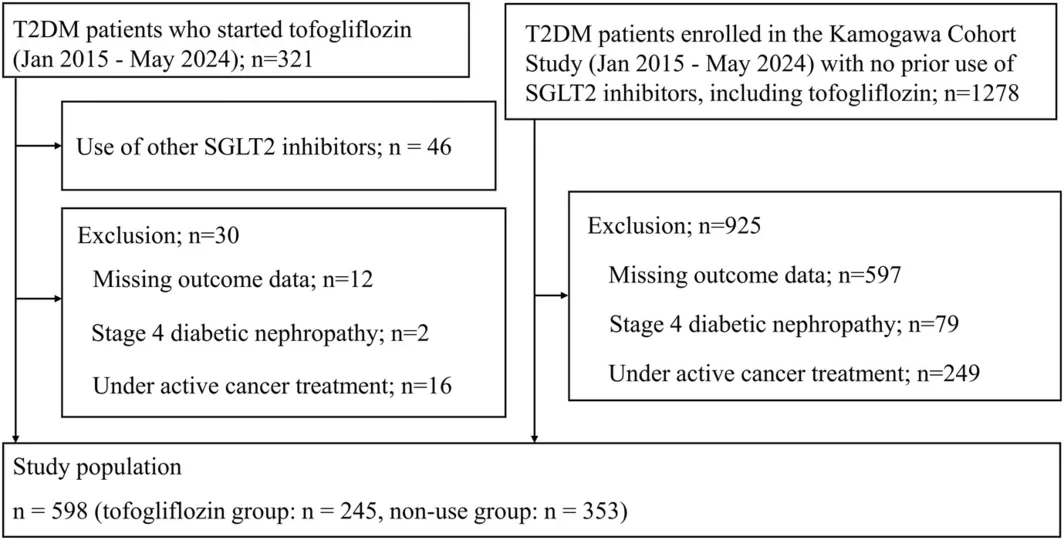 Figure 1. Flowchart of patient inclusion and exclusion.