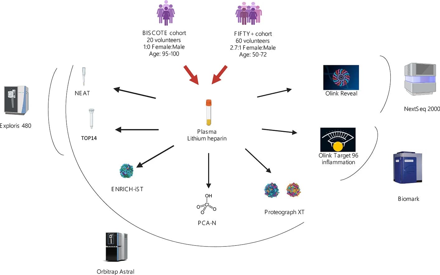 Graphical abstract from Journal of Proteomics