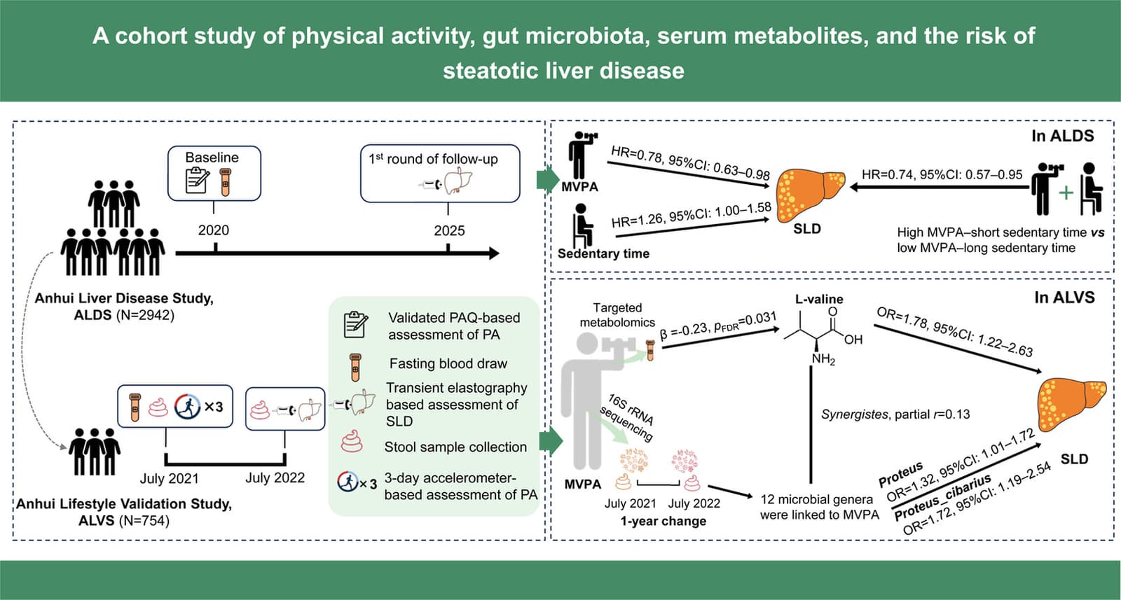 Graphical abstract from Annals of Hepatology