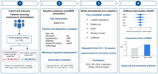 Graphical abstract from Renal Failure