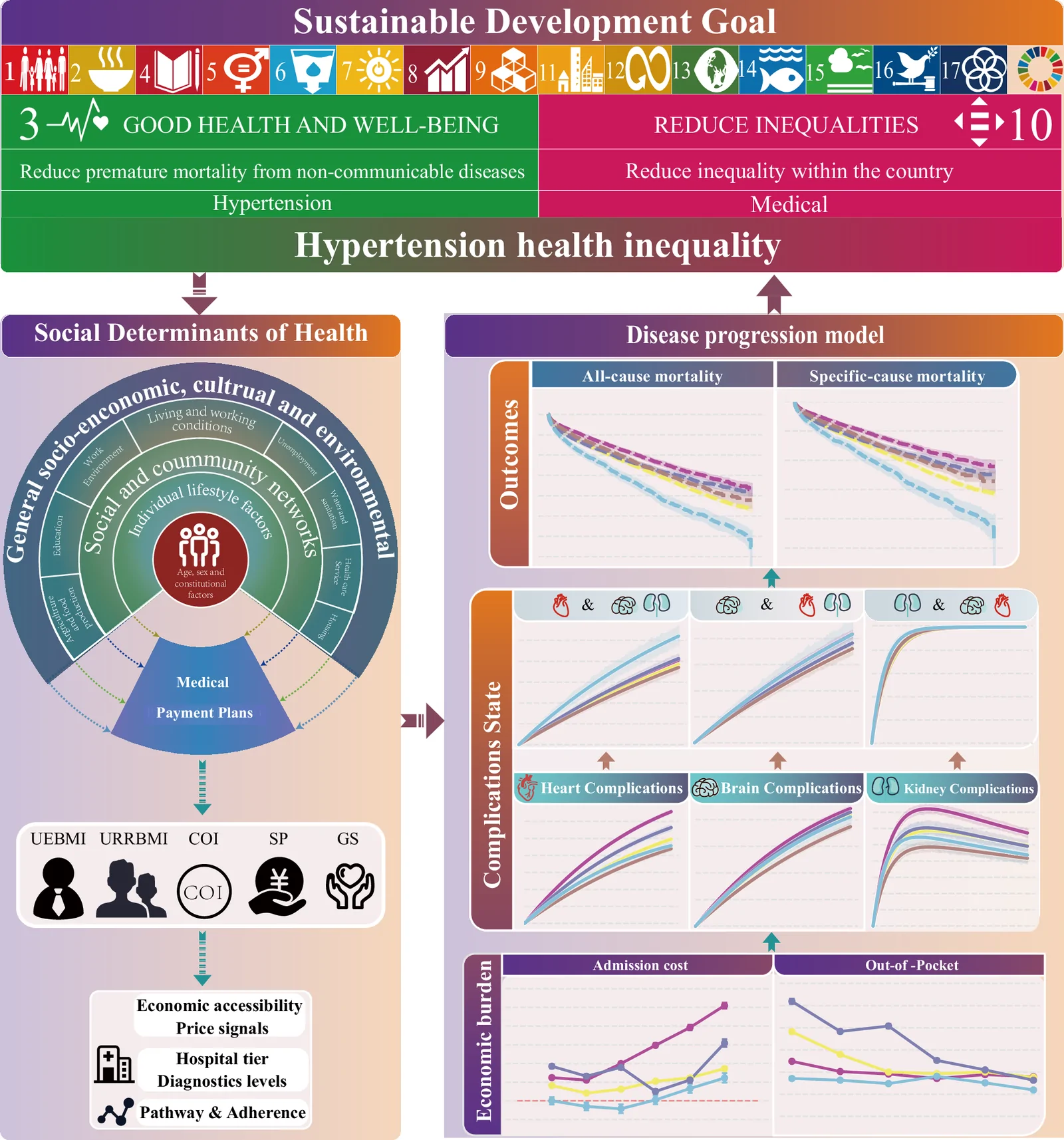 Fig. 1. Conceptual framework for plan-related inequalities in hypertension.