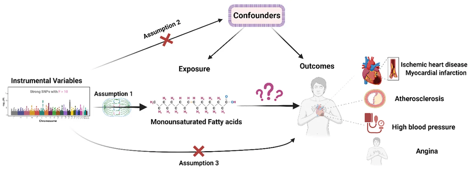 Figure 1. This figure illustrates the association between serum monounsaturated fatty acids and the risk of cardiovascular diseases, including angina, atherosclerotic heart disease, ischemic heart disease,…
