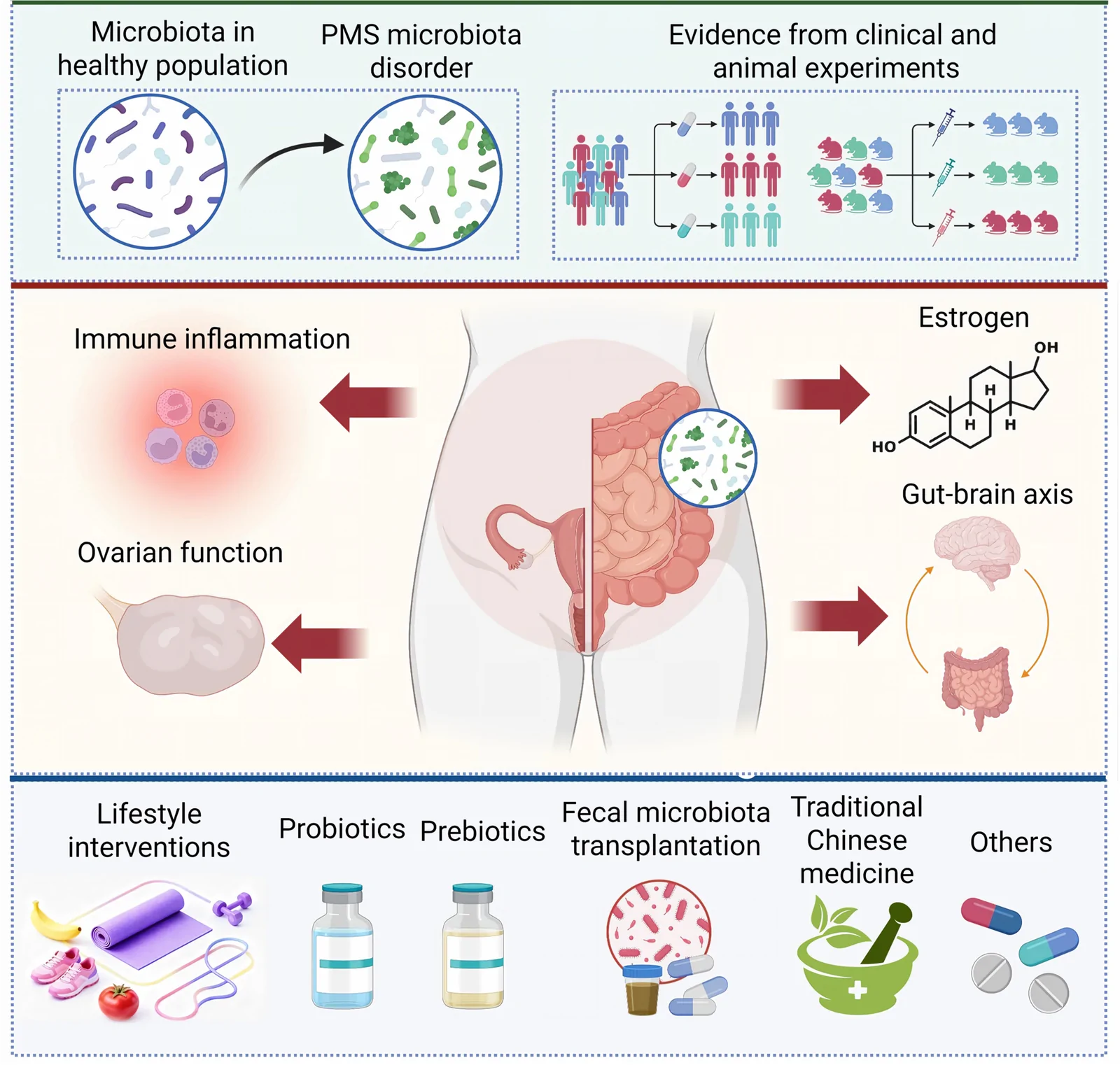 Graphical abstract from International Journal of Women's Health
