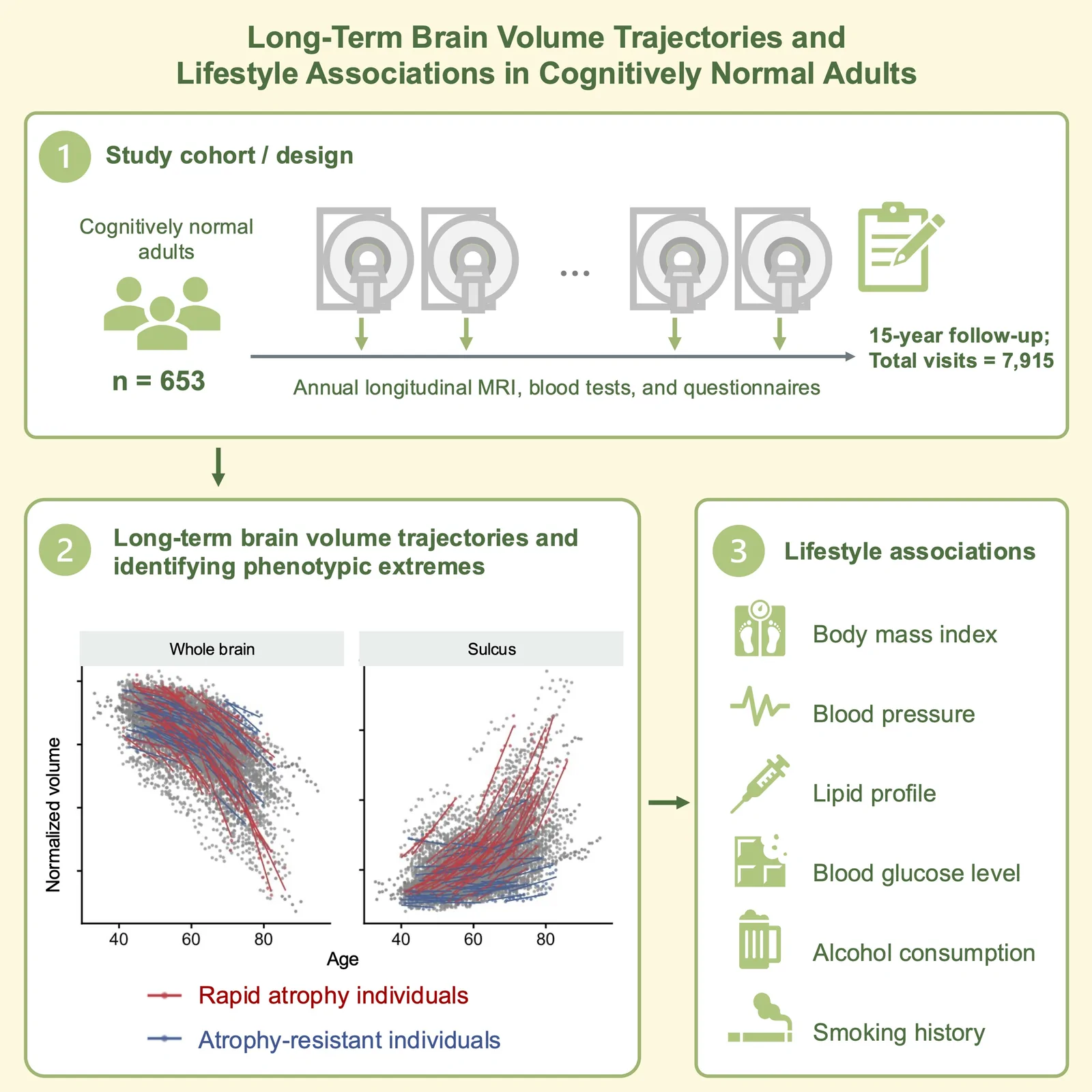Graphical abstract from Brain Communications