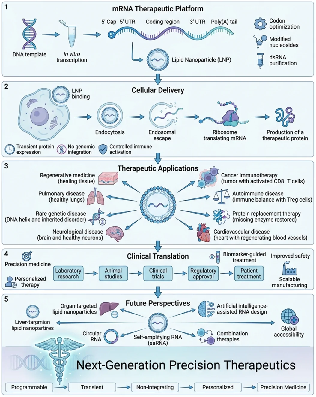 Graphical abstract from Immunity, Inflammation and Disease