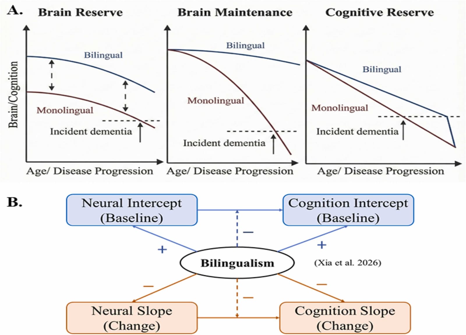 Figure 1 from Neurobiology of Aging