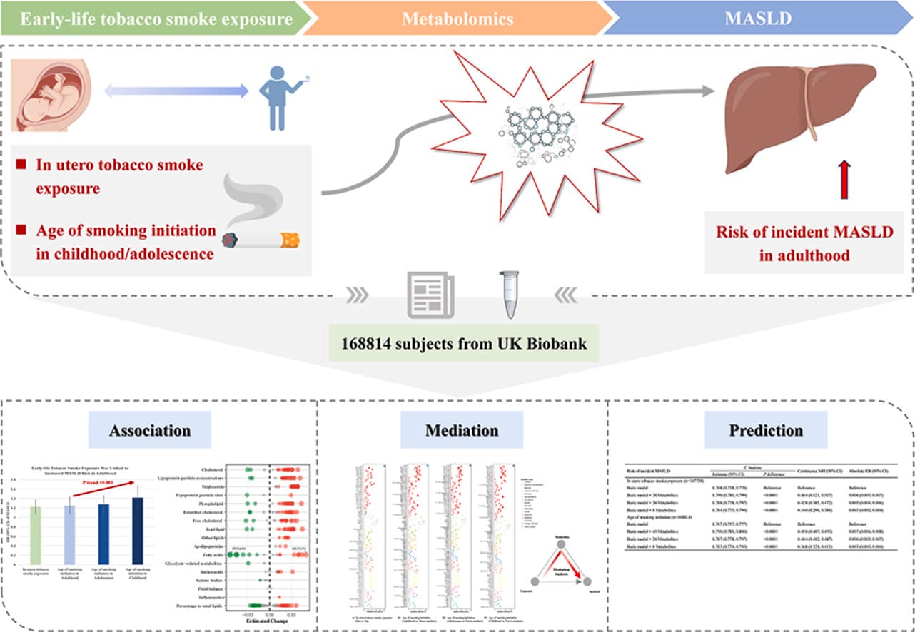 Graphical abstract from Environmental Pollution