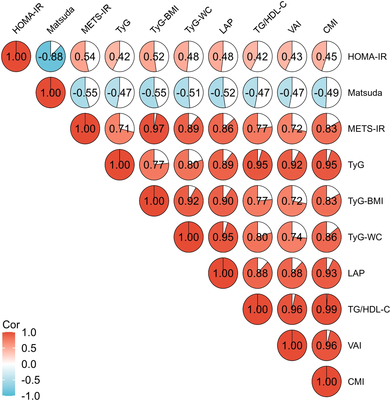 Figure 1. Spearman's rank correlations of IR surrogate indices with HOMA-IR and the matsuda index.