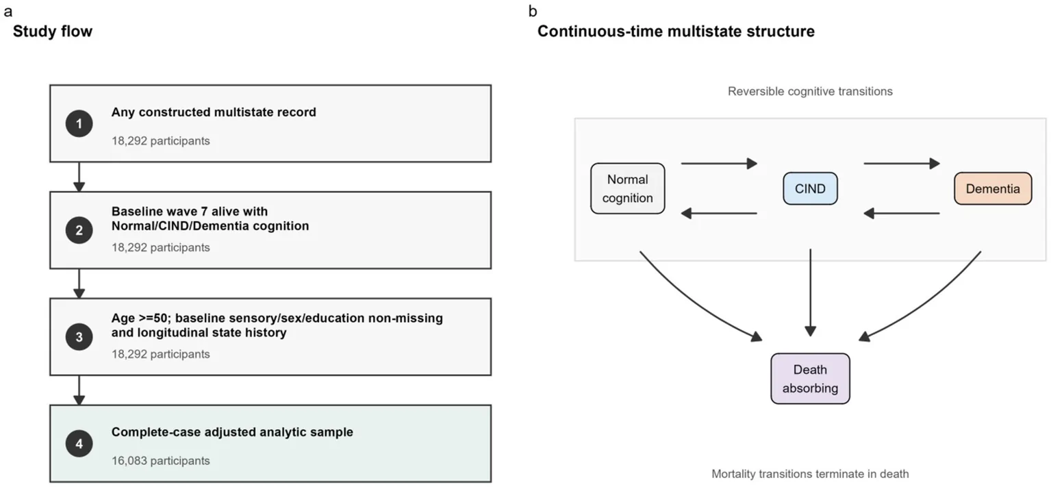 Figure 1. Study flow and multistate model structure.
