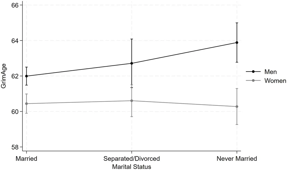 Figure 1. Marital status x gender interaction in relation to GrimAge.