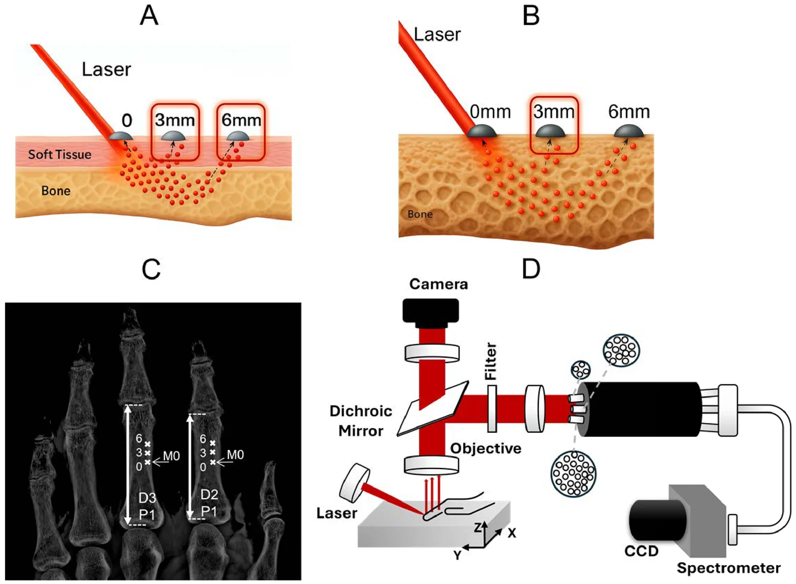 Fig. 1. Spatially offset Raman spectroscopy (SORS) geometry and instrumentation.