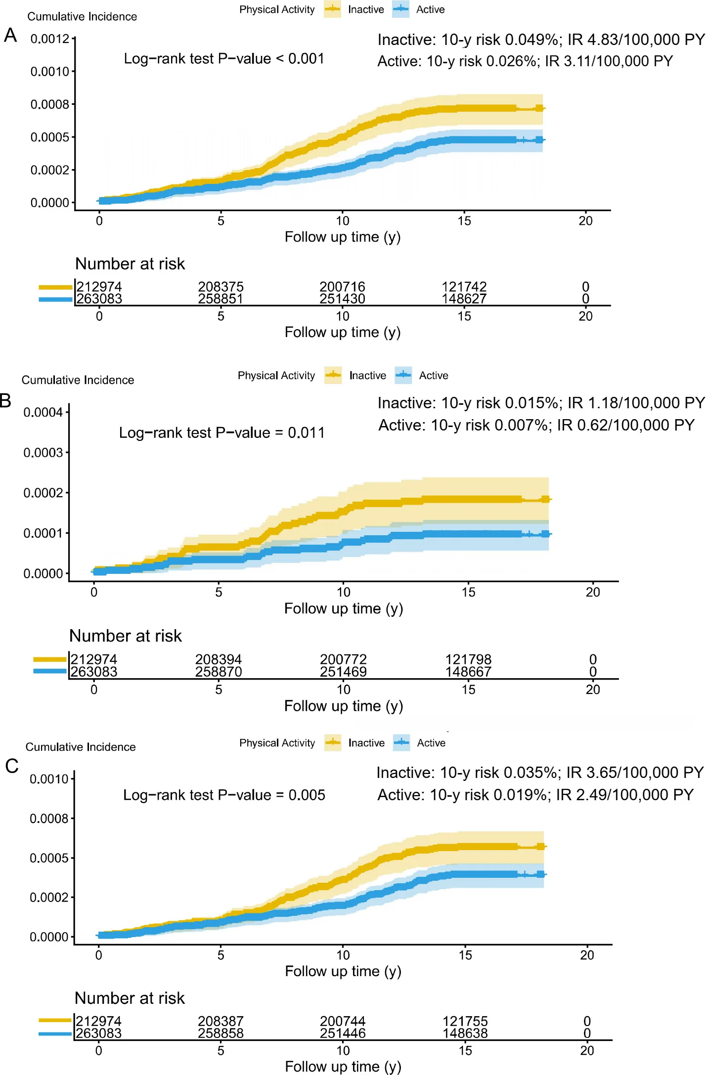 Fig. 1. Cumulative Incidence of autoimmune bullous skin diseases by physical activity level.