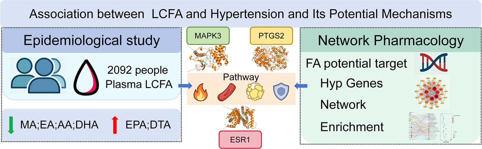 Graphical abstract from Nutrition Research