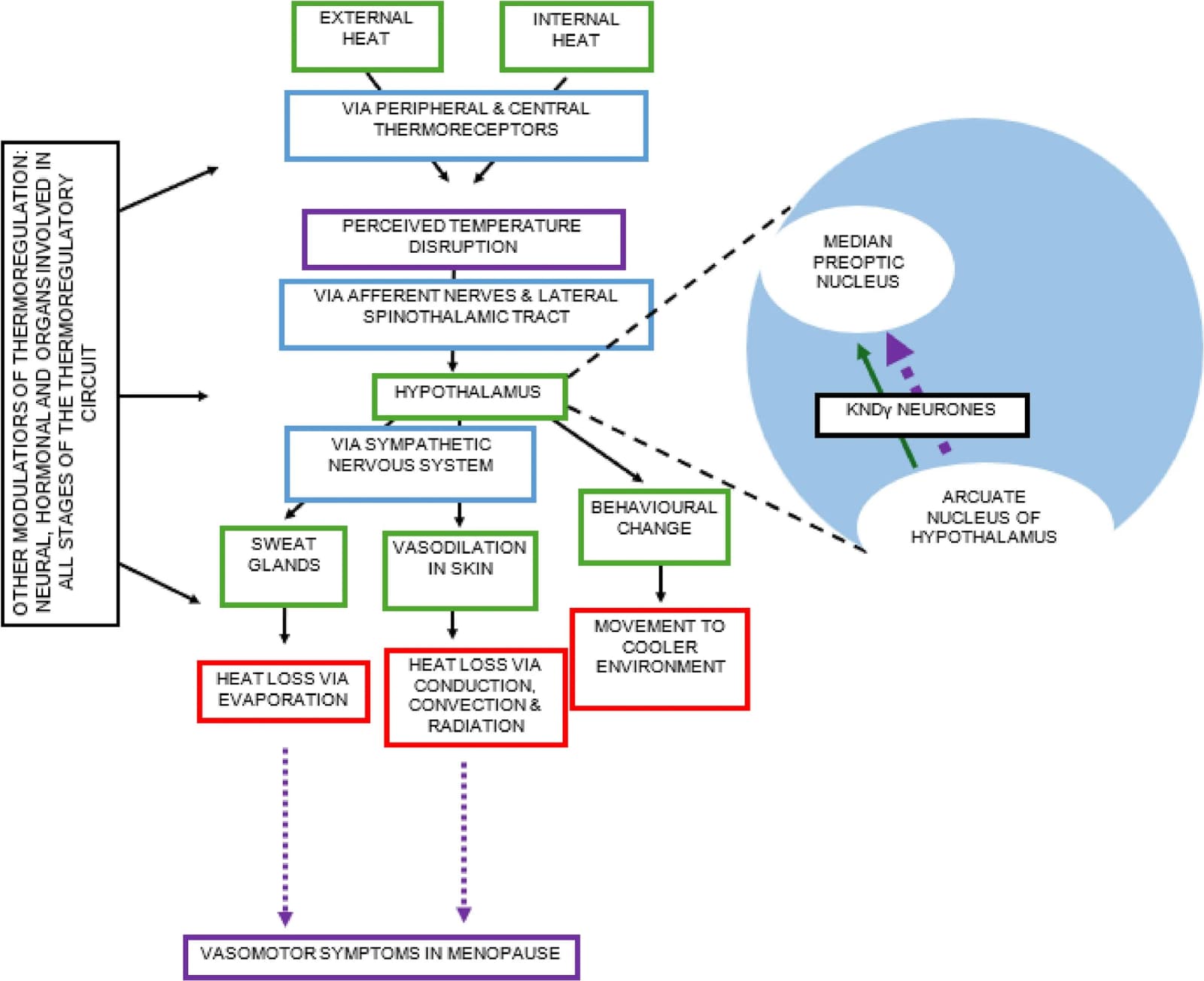 Figure 1 from Maturitas