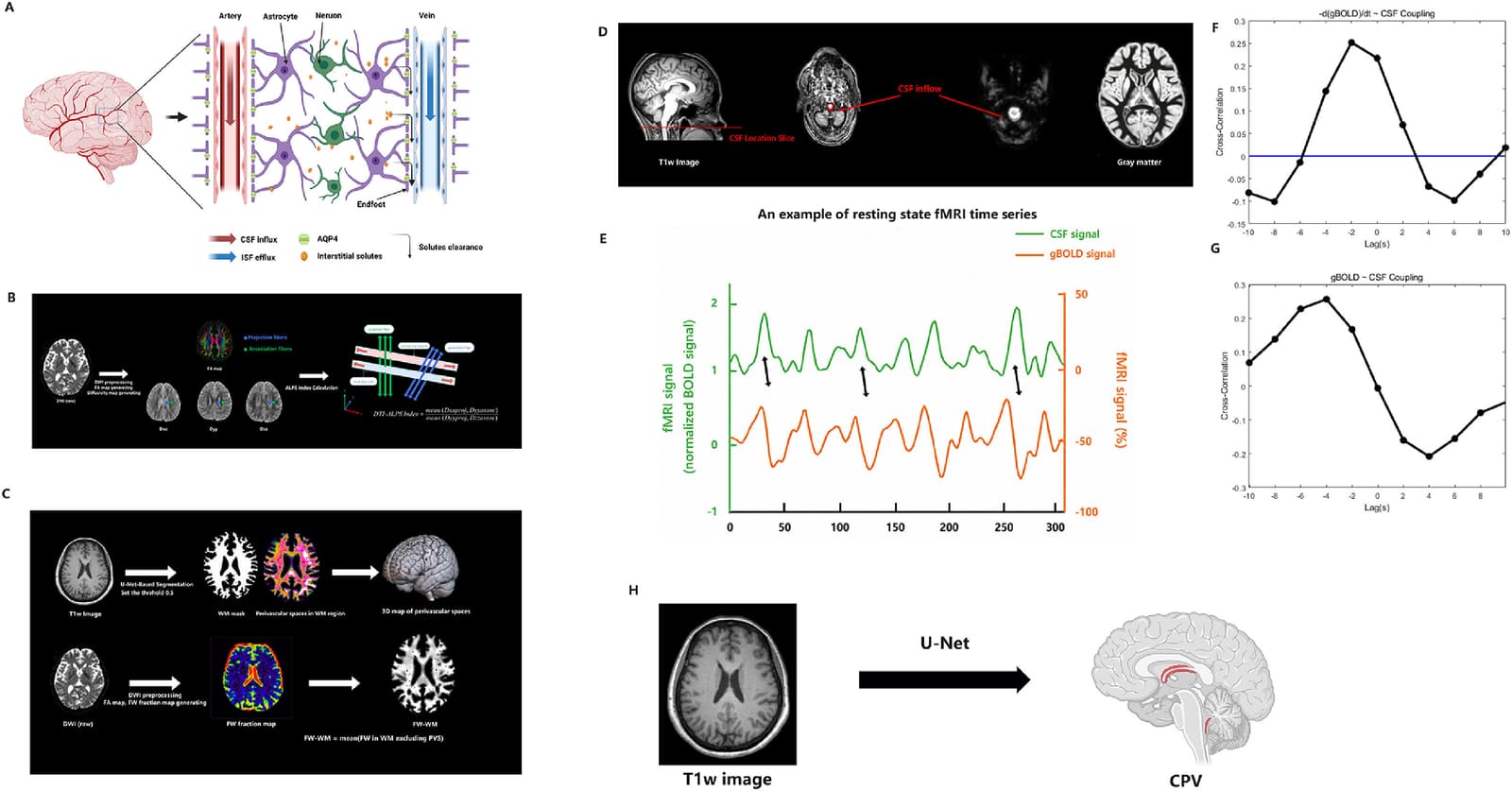 Figure 1 from NeuroImage