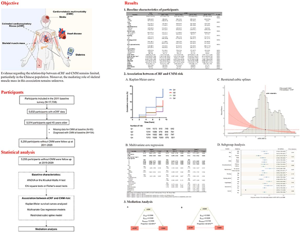 Graphical abstract from Nutrition, Metabolism, and Cardiovascular Diseases