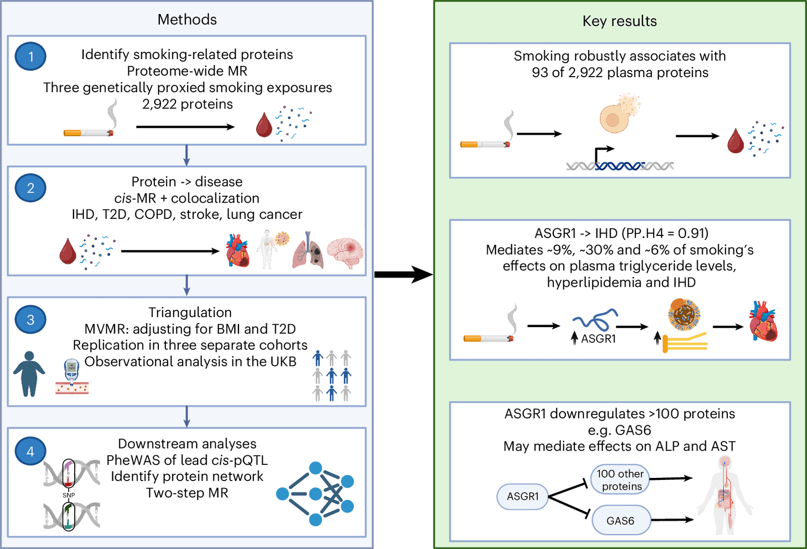Figure 1 from Nature Cardiovascular Research
