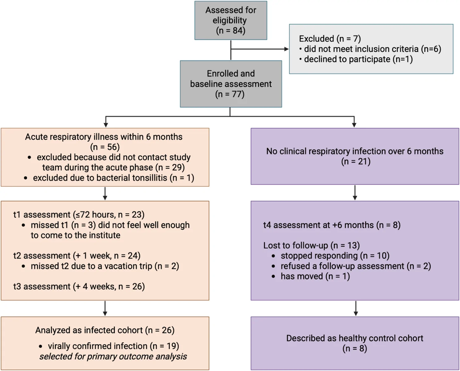 Fig. 1. Participant flow diagram (Created in BioRender.