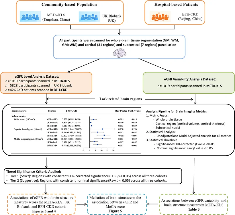 Figure 1. Study population and analytical workflow.