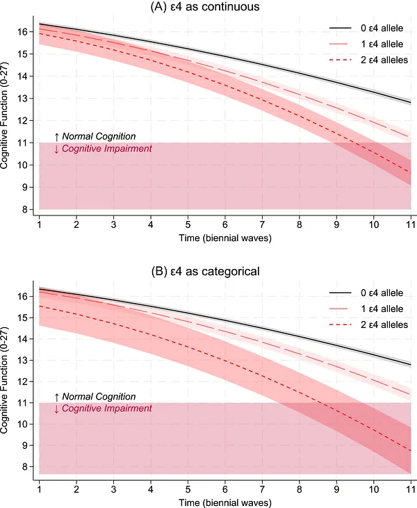 Figure 1. Predicted trajectories of cognitive function by APOE ε4 status.