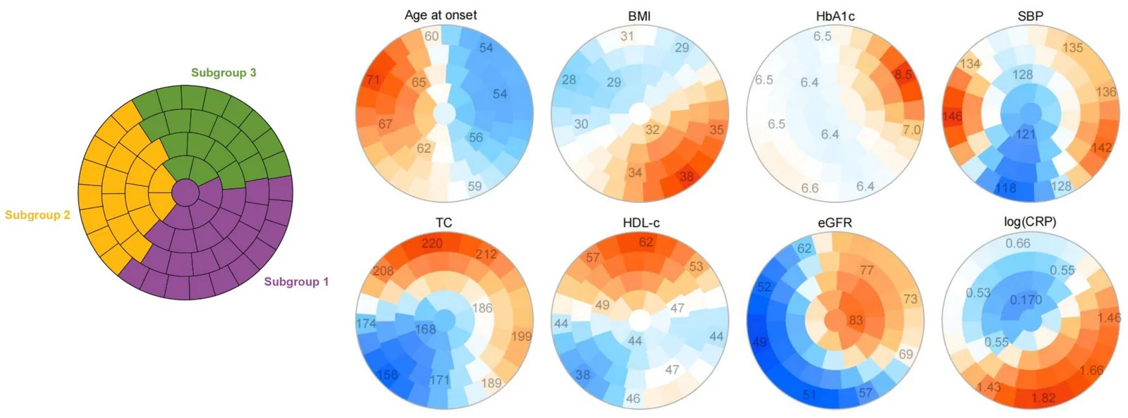 Figure 1. Results of SOM analysis.