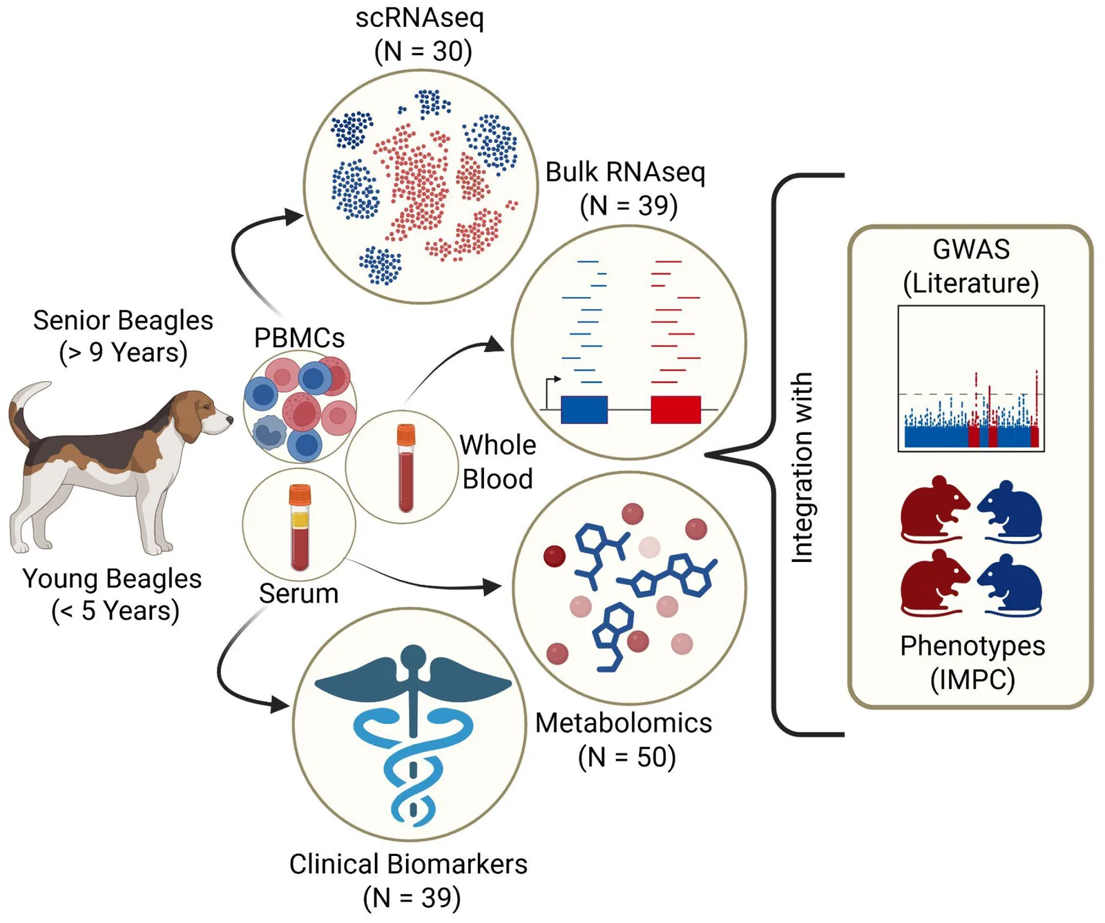 Figure 1. Schematic overview of the multi-omic study design and analytical workflow.