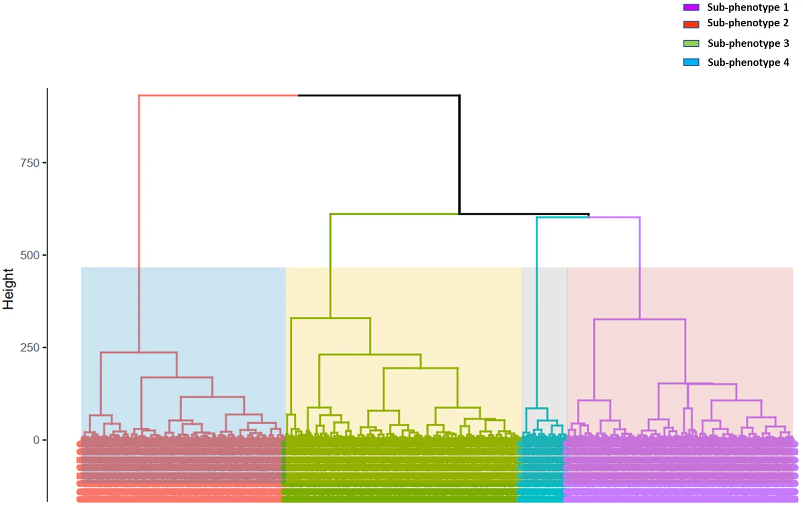 Figure 1. Cluster dendrogram of the overall sample: the dendrogram was constructed using 10 selected variables, including five related to metabolic syndrome (MetS): waist circumference (continuous), fasting…