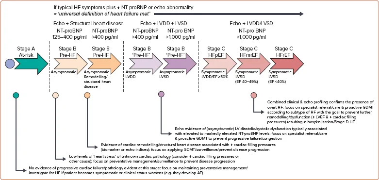Figure 1. The Spectrum of Early to Late Forms of Heart Failure Most Likely to Be Detected and Managed in a Primary Care Setting