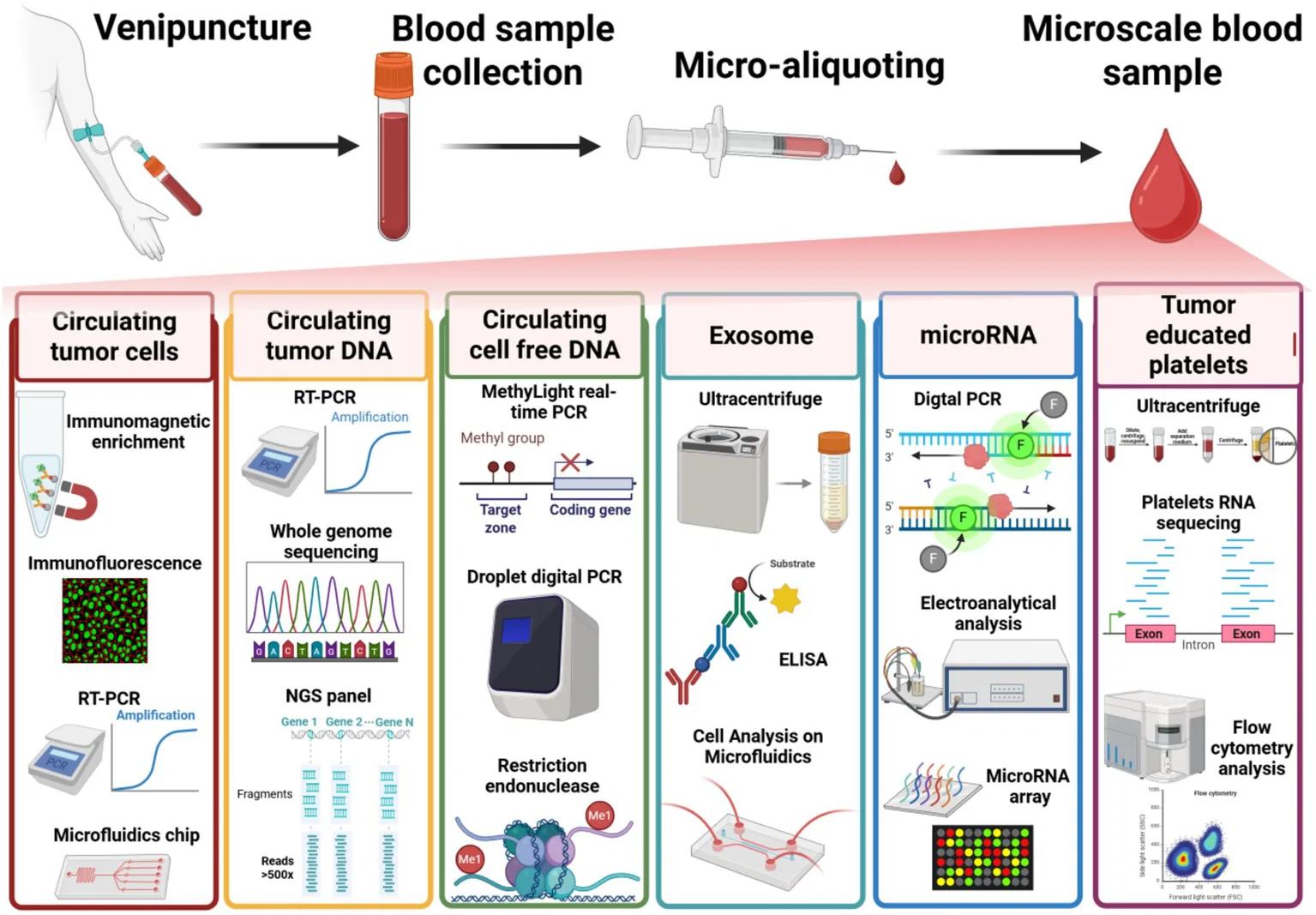 Figure 1. Integrated blood-based liquid biopsy framework for precision cancer detection and POCT analysis.