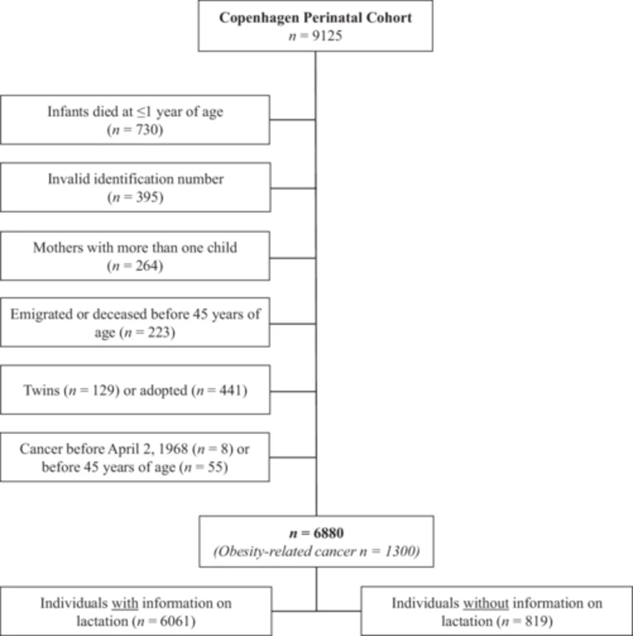 Figure 1. Flowchart of included individuals.