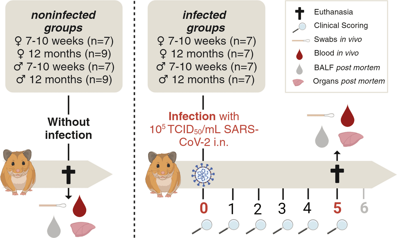 Figure 1 from GeroScience