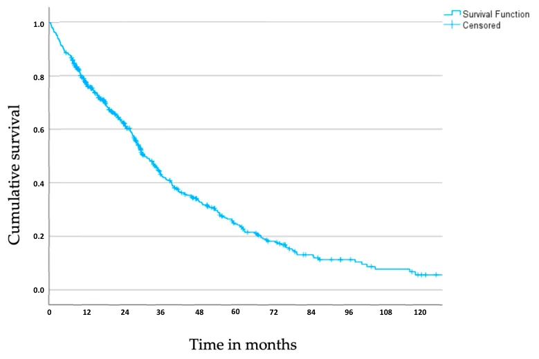Figure 1. Kaplan–Meier survival curve of the study population during follow-up.