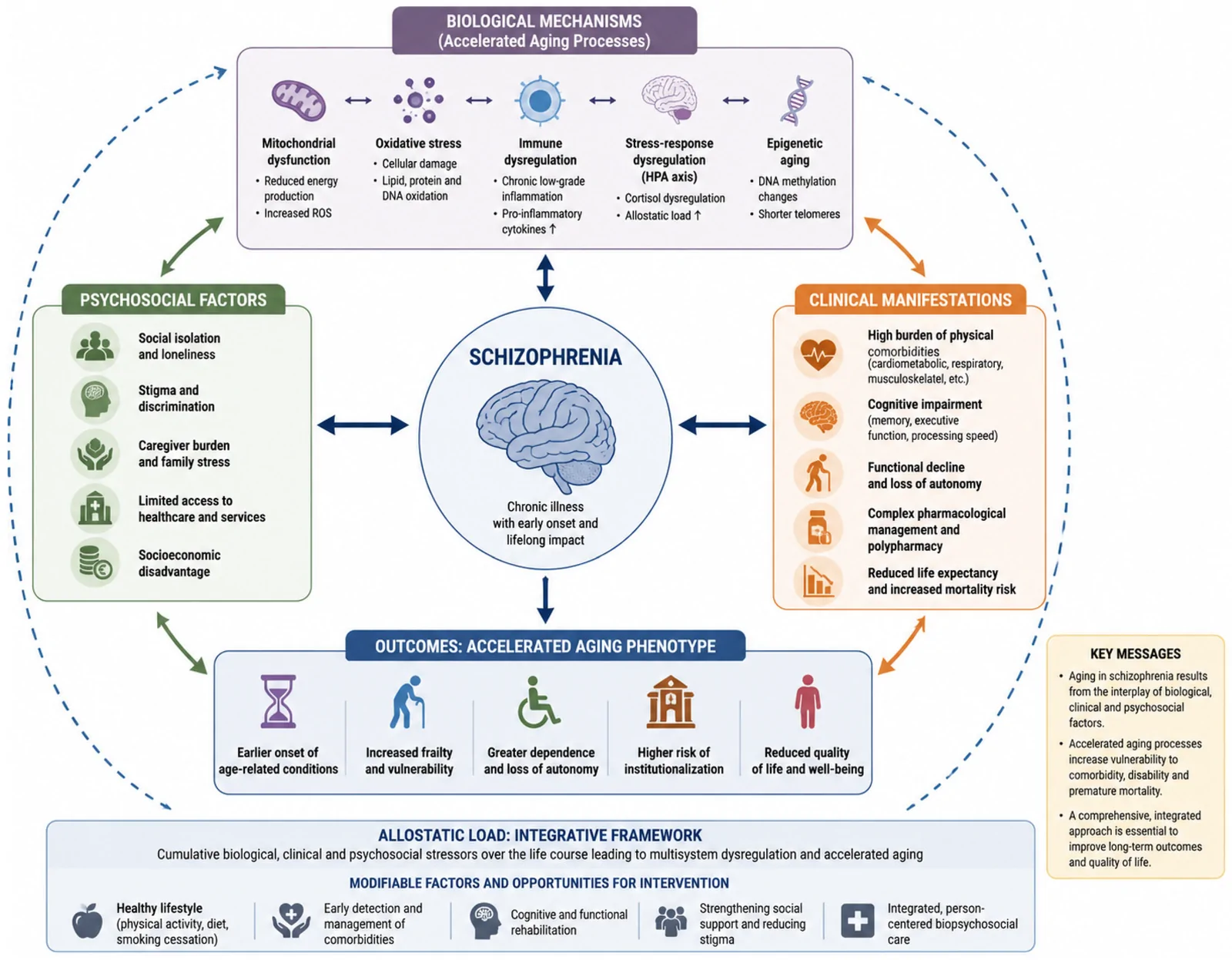 Figure 1. Multidimensional perspectives of aging in schizophrenia.