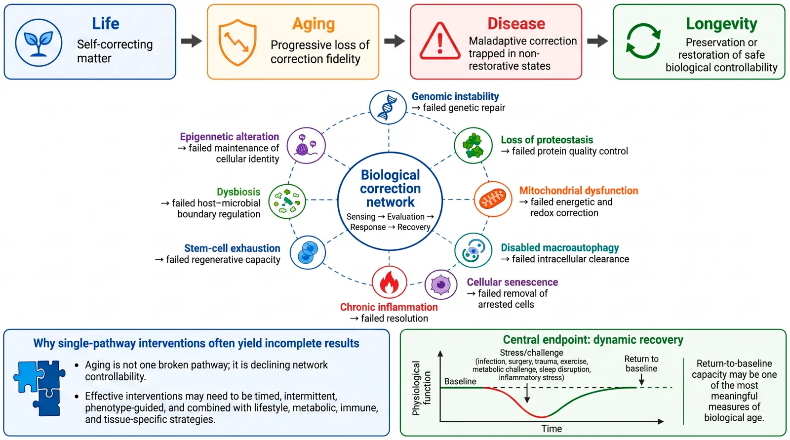 Figure 1. Biological correction network model of aging, disease, and longevity.