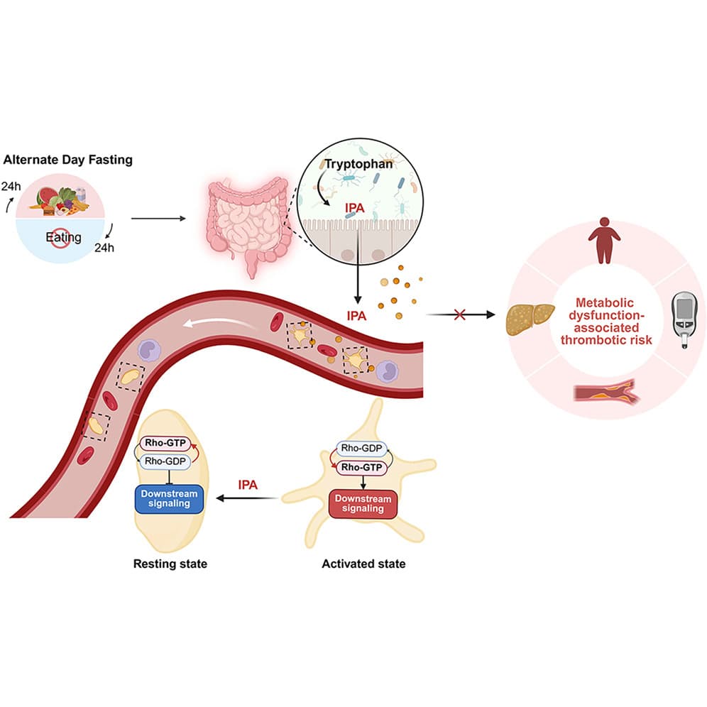 Graphical abstract from Cell Reports