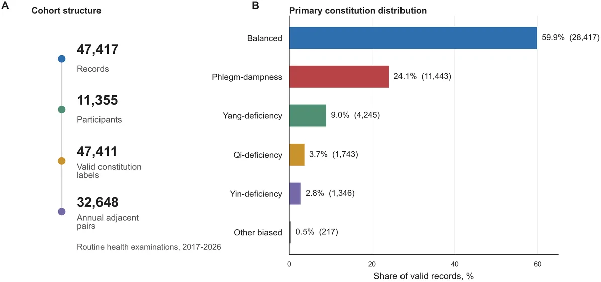 Figure 1. Study cohort and constitution distribution.