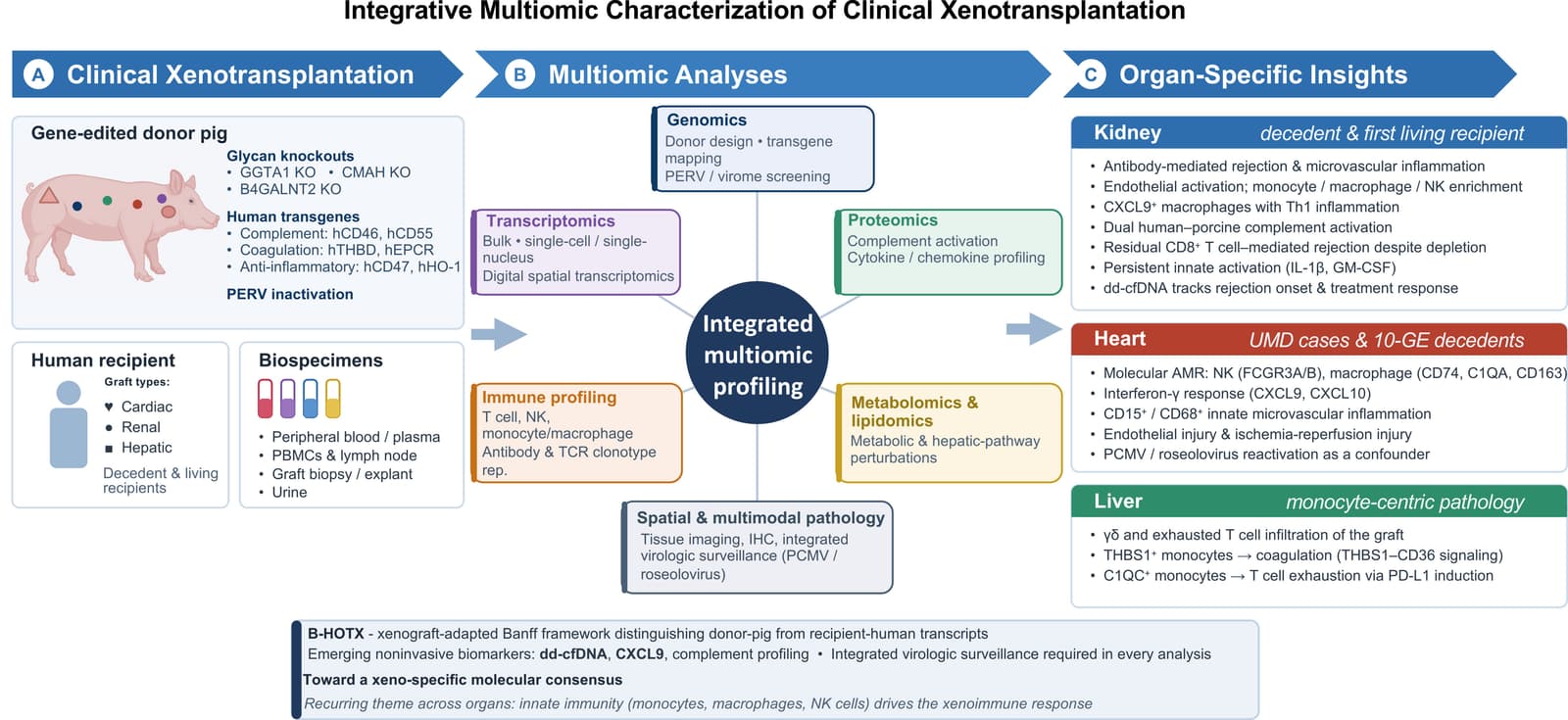 Figure 1 from American Journal of Transplantation