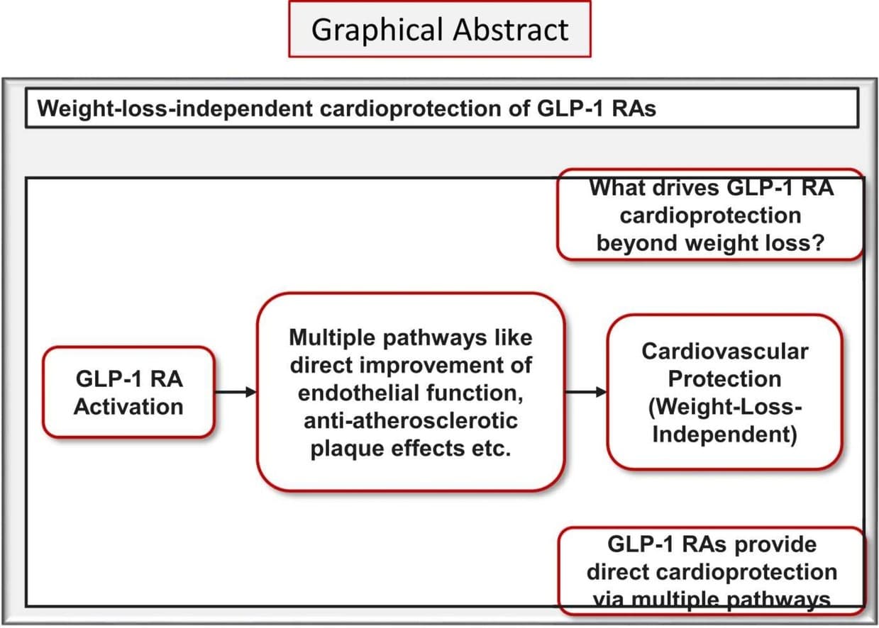 Graphical abstract from Peptides