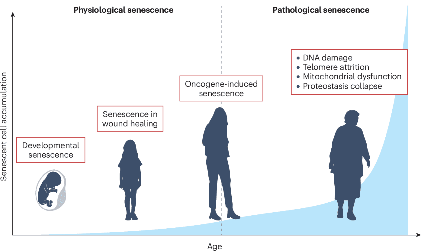 Figure 1 from Nature Reviews Nephrology