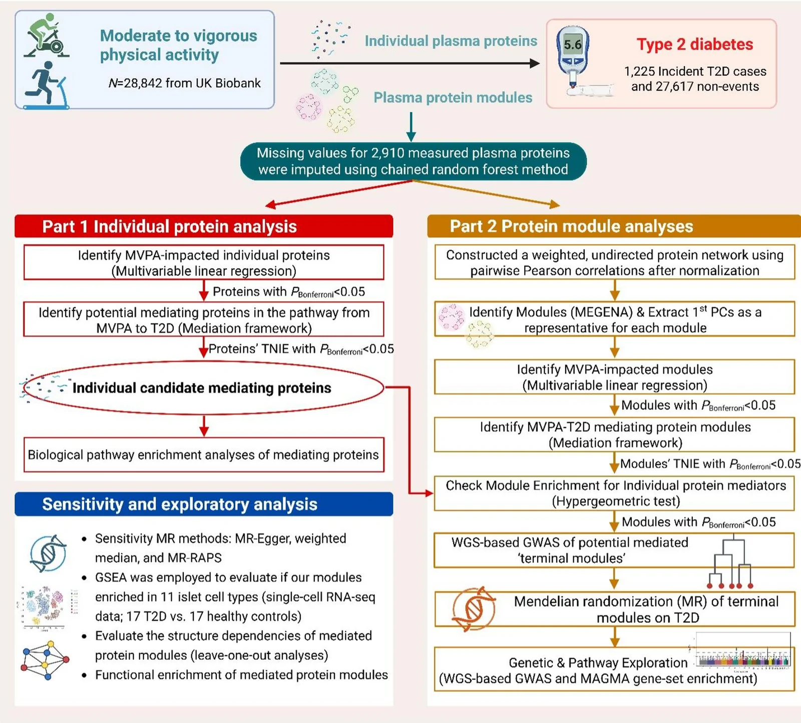 Fig. 1. Workflow of the study design.