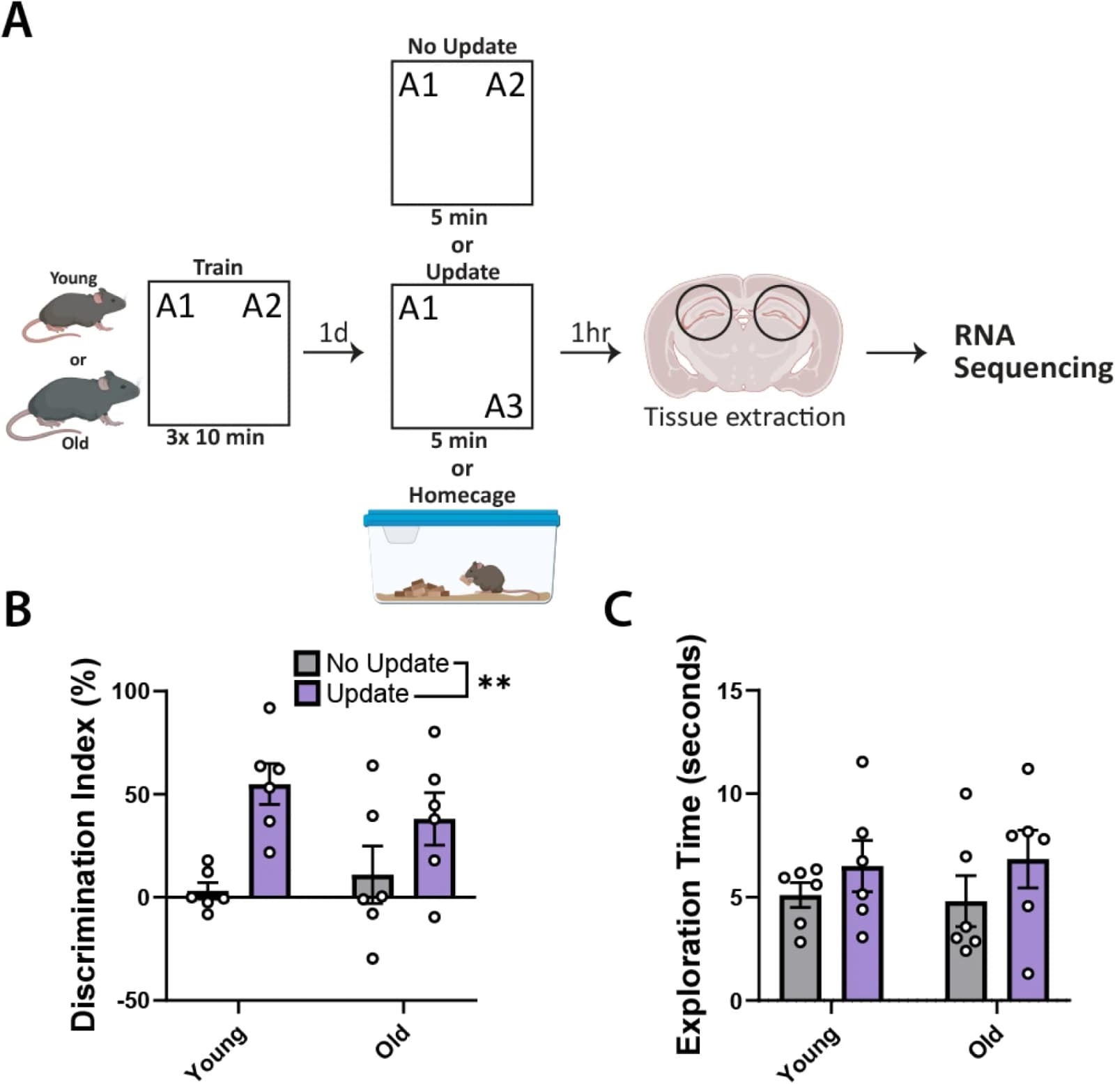 Figure 1. Experimental design and behavioral data for RNA sequencing experiment.