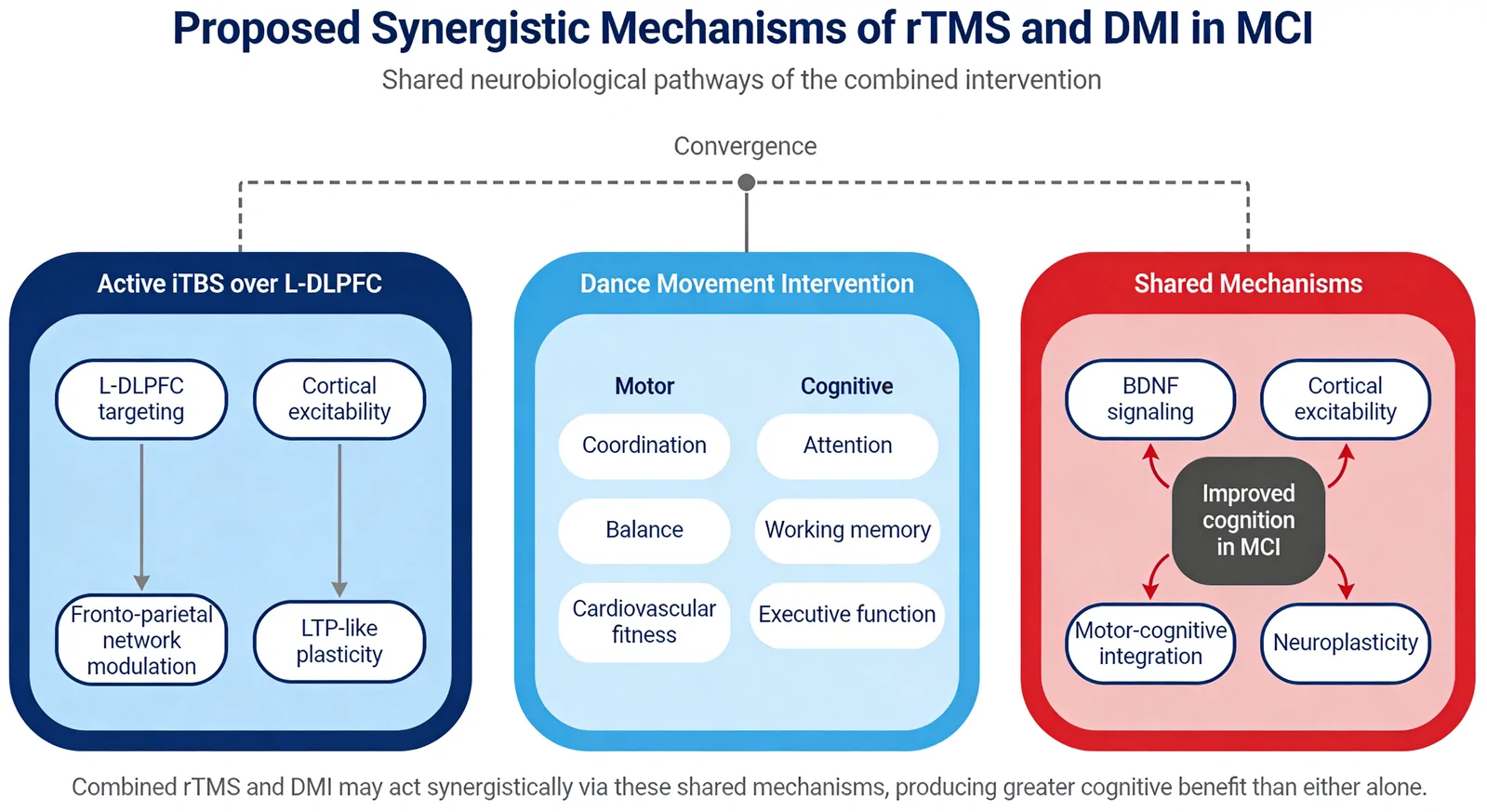 Figure 1. Proposed synergistic mechanisms of rTMS and DMI in MCI.