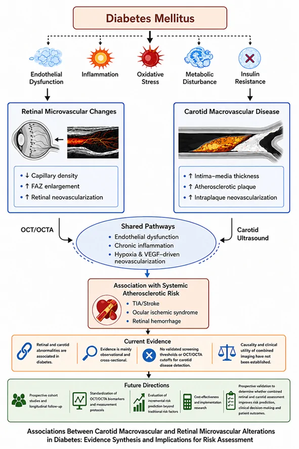Graphical abstract from Atherosclerosis Plus