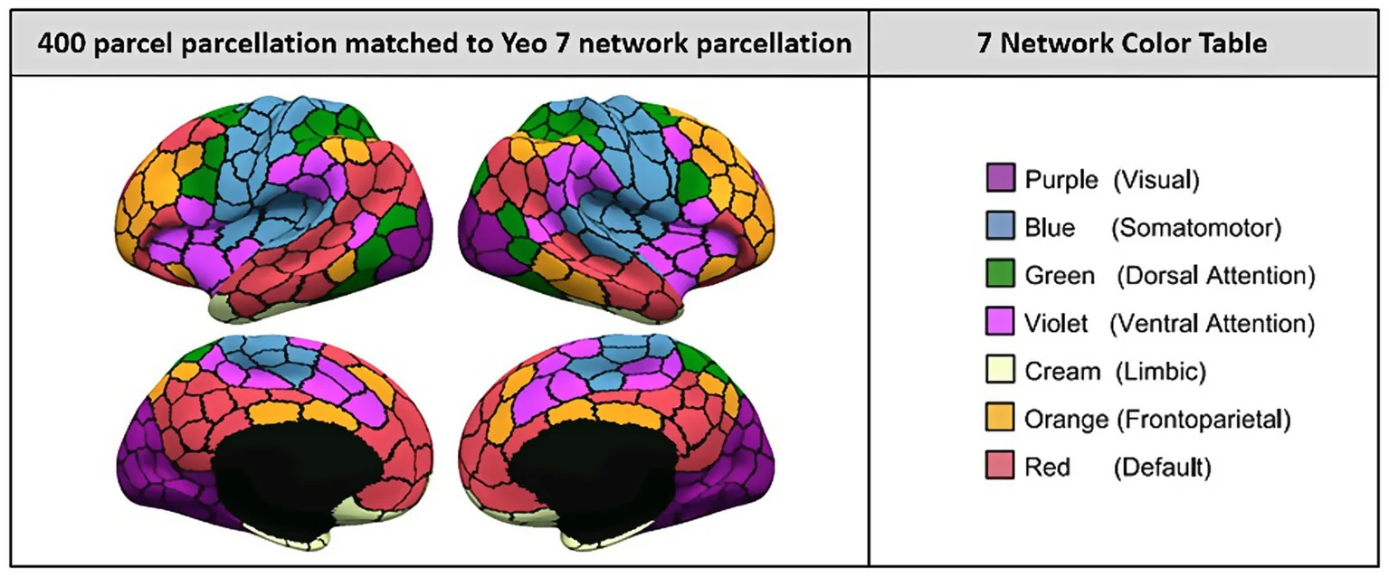 Figure 1. 7-network parcellation.
