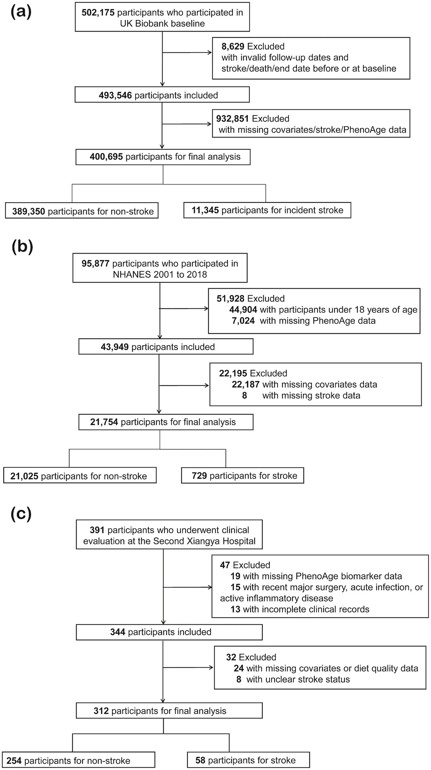 Figure 1. Flowchart of participant selection.