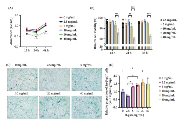 Figure 1. D‐gal treatment induces cellular senescence in C2C12 myoblasts.