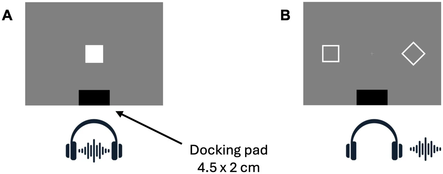 Figure 1. Illustration of the detection and discrimination tasks.