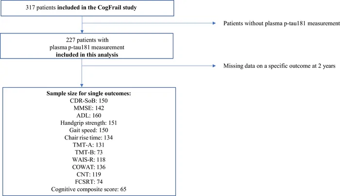 Figure 1. Participant flowchart.
