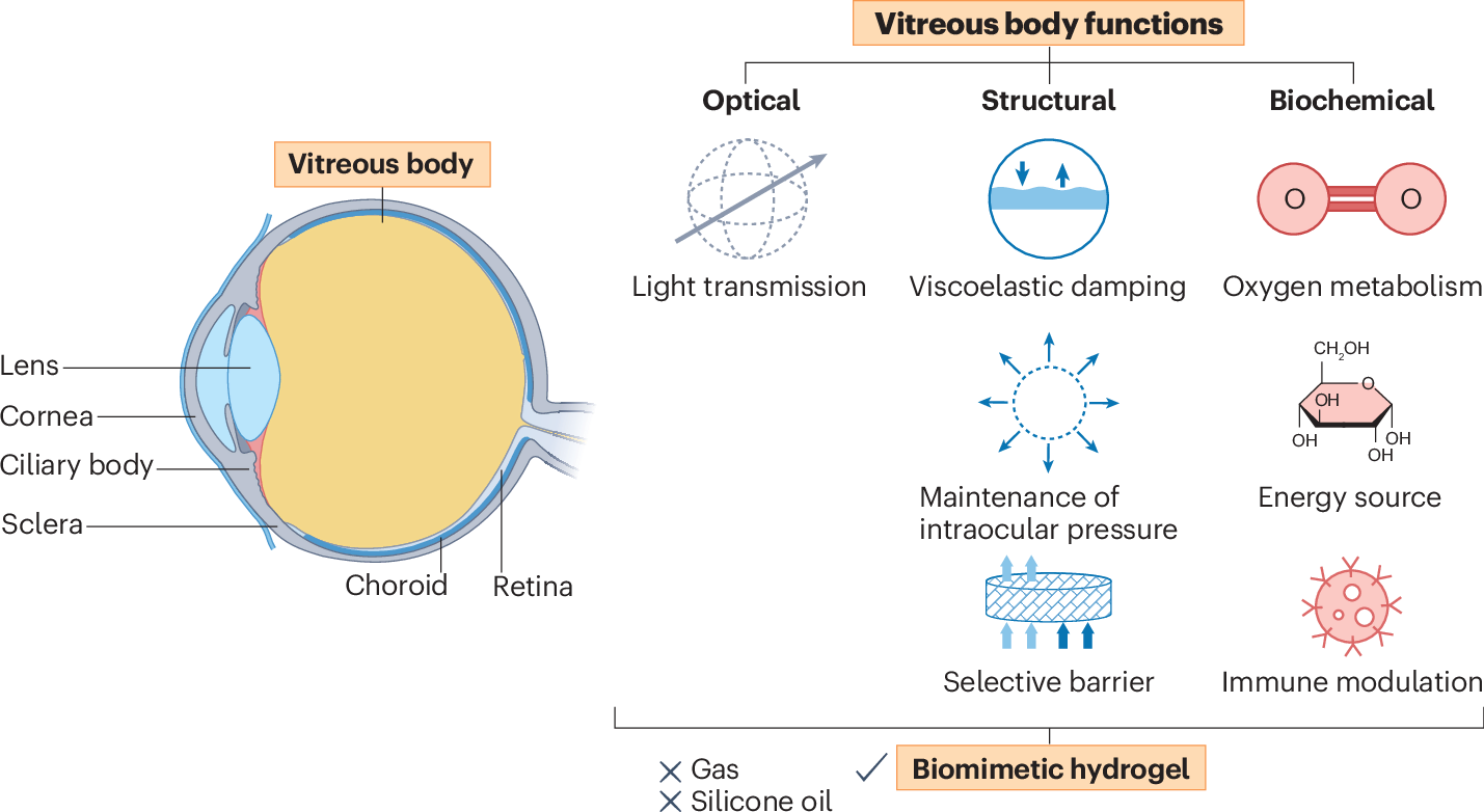 Figure 1 from Nature Reviews Materials