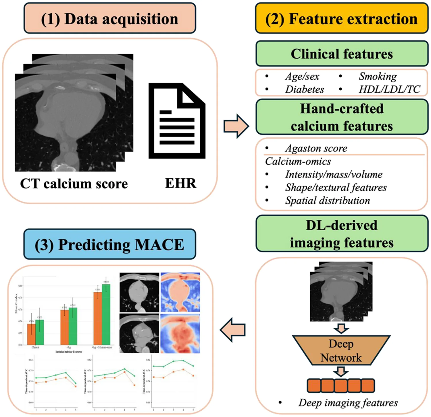 Fig. 1. Central Illustration of the multi-modal DL approach for MACE prediction.
